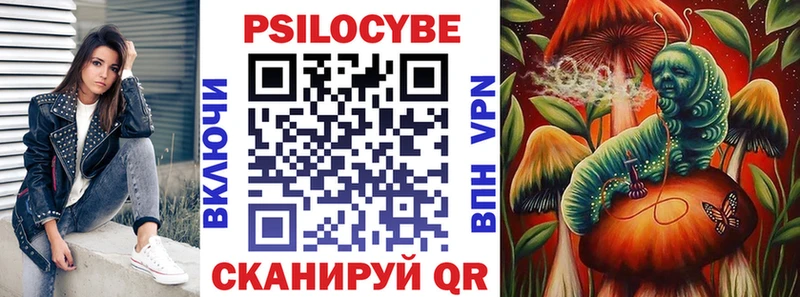 Галлюциногенные грибы Psilocybe Козельск
