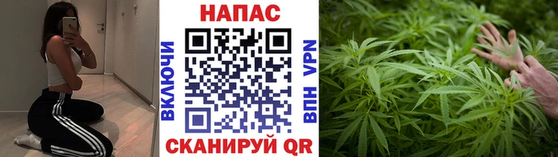 mega   где продают наркотики  Козельск  Каннабис семена 